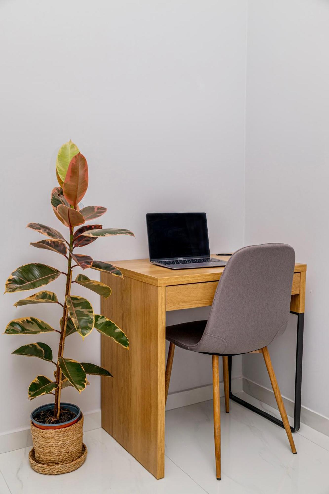 סלוניקי Cozy Studio In The City Center מראה חיצוני תמונה